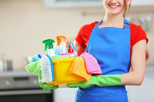 Upholstery cleaning service in Sutton for sofas and chairs