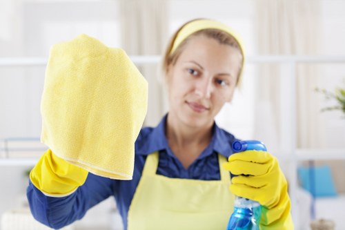 Local house cleaning service in Sutton for residential homes