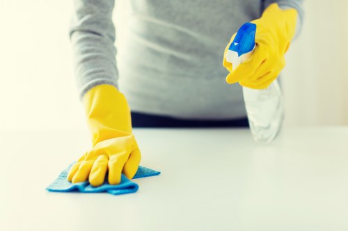 Professional oven cleaning service in Sutton kitchen
