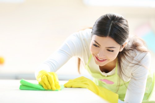 Preparation checklist and cleaning tools for a Sutton deep clean