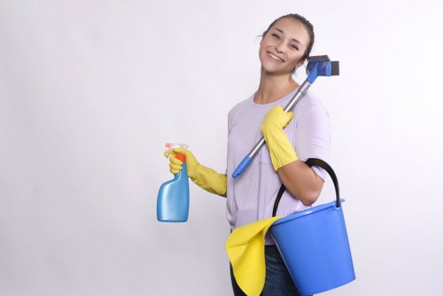 Local sofa cleaning process for removing dirt and stains from fabric seating