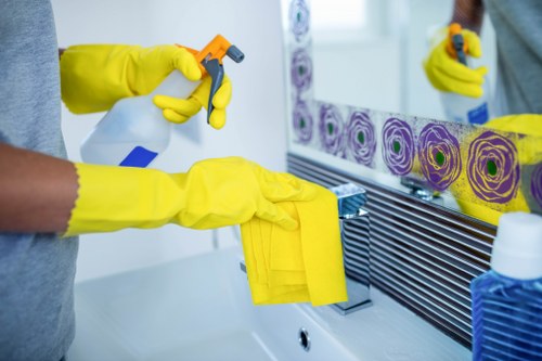 Commercial oven cleaning for a food business in Sutton